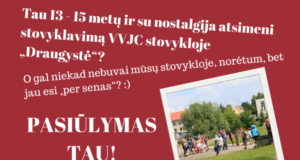 vyresniu stovyklai